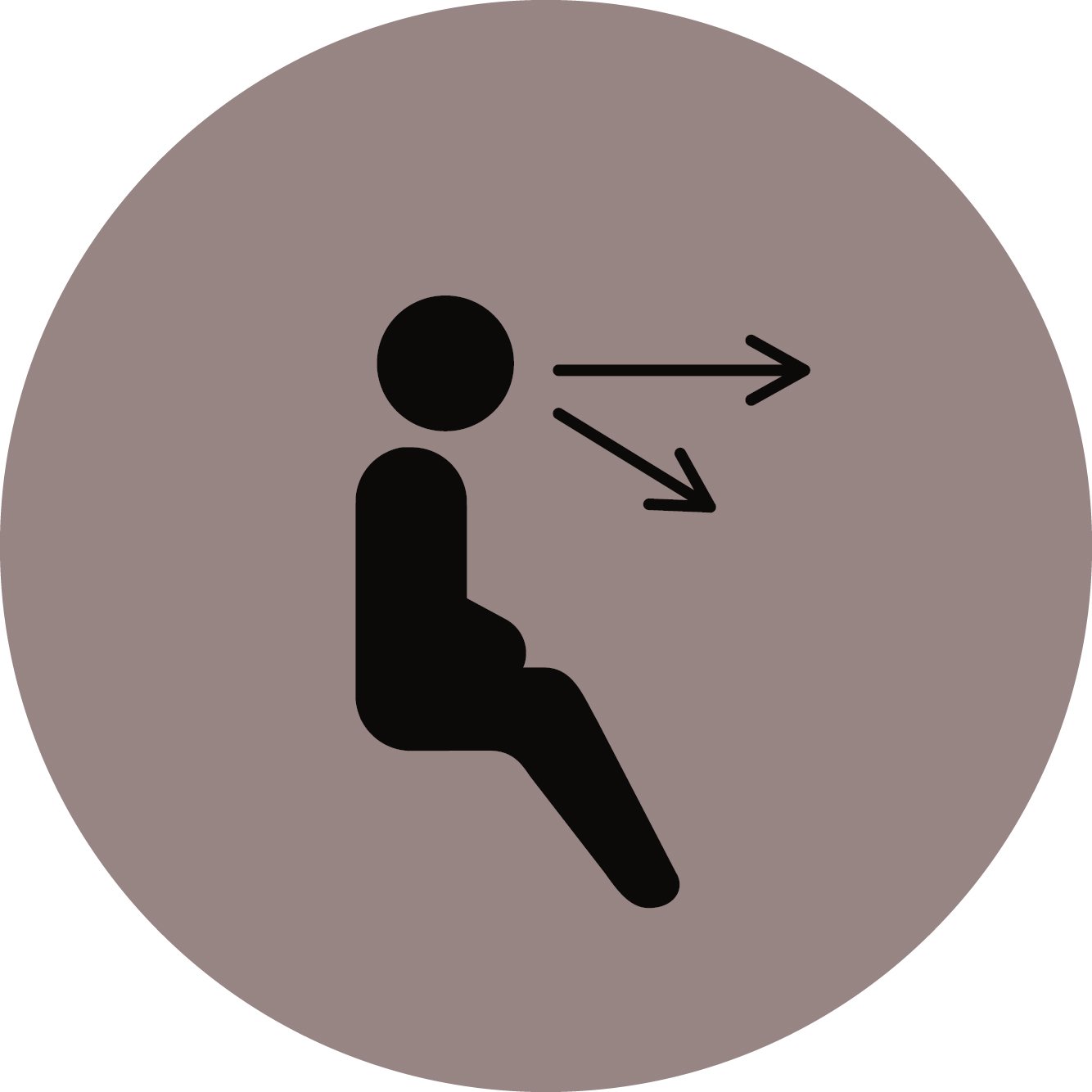 icon I brown I CMYK I JPG I 2025 (1).jpg