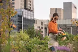 Woman wears light sensitive lenses while working in a garden