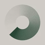 Grafica: lente verde HOYA Sensity su sfondo grigio