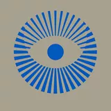 HOYA graphic: blue eye on grey background