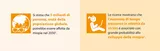 Grafica arancione HOYA MiYOSMART con testo in italiano