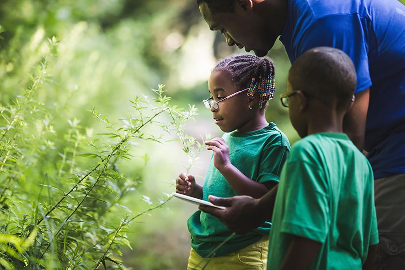 Hoya Vision corporate social responsibility two children looking at plant
