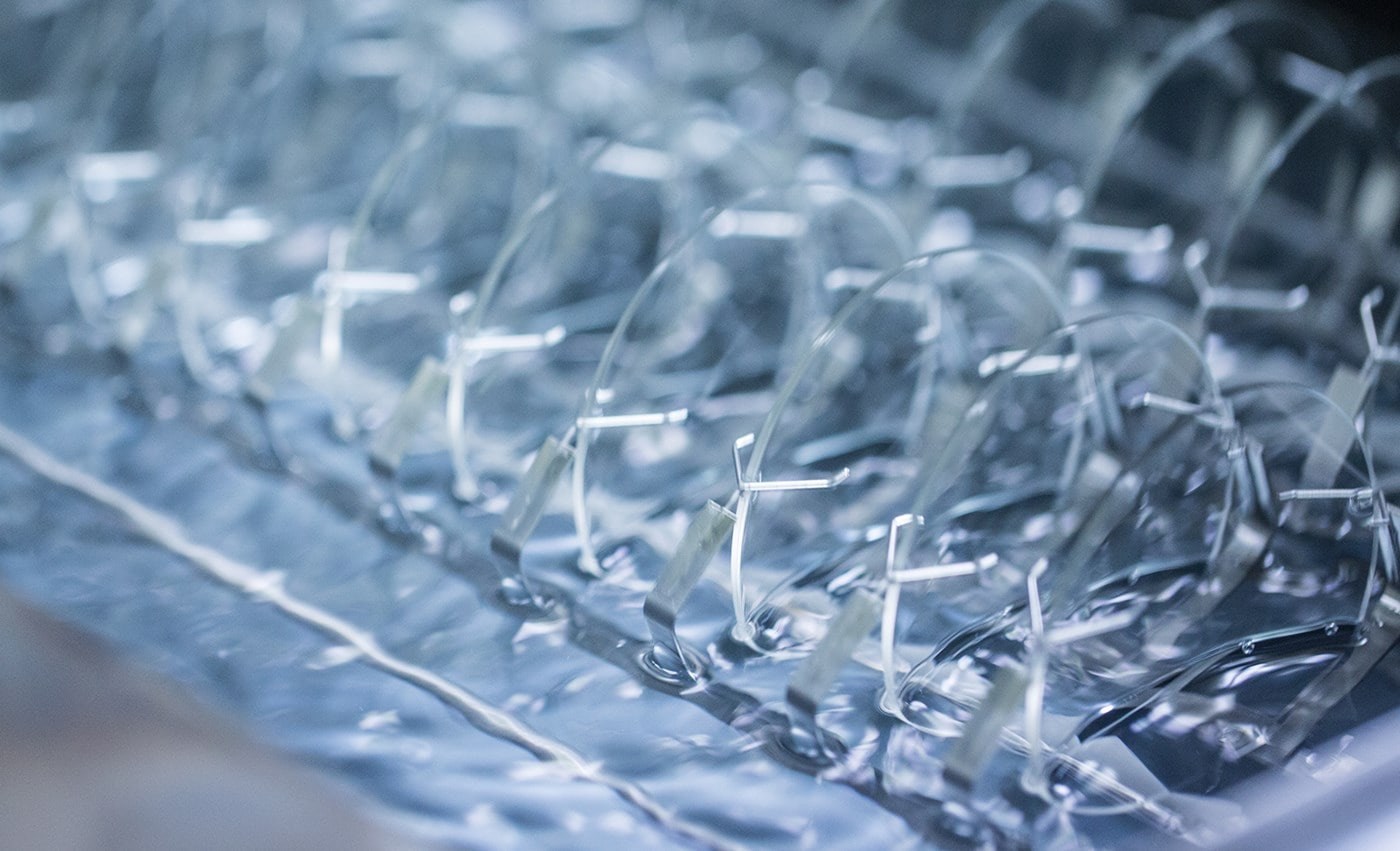 Rows of Hoya Vision eyeglass lenses