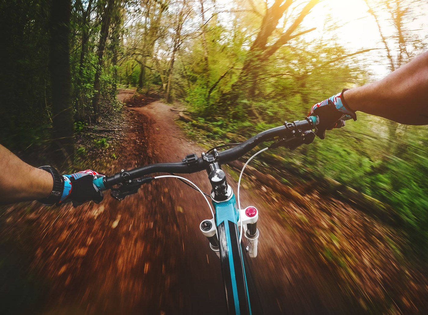 Male mountainbiking at speed in forest