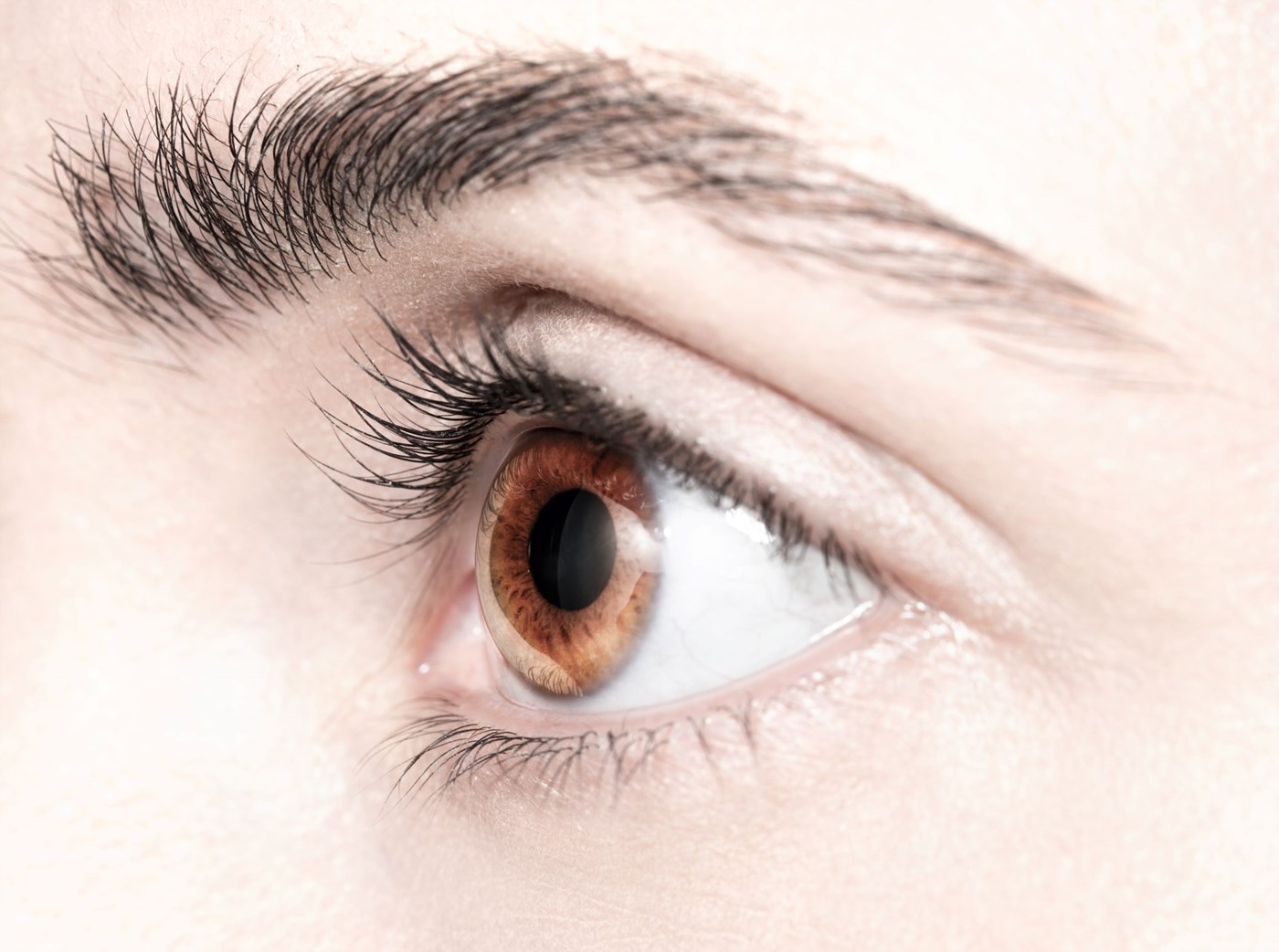 Side shot of brown eye